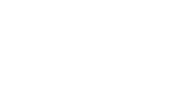 100yillogo